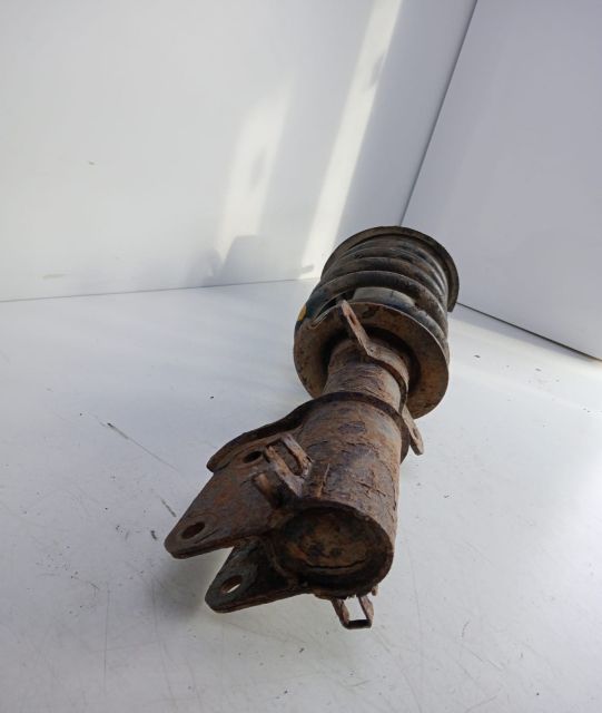 Ansamblu arc +amortizor fata stanga/dreapta Opel Vivaro A (facelift)