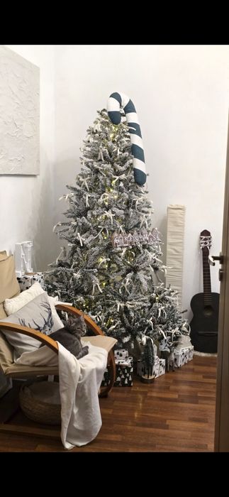 Brad artificial superb