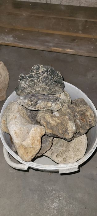 Vând pietre calcaroase de decor pentru acvariu sau terariu