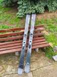 Vand Schiuri ski FACTION MANA 2 2024 173
