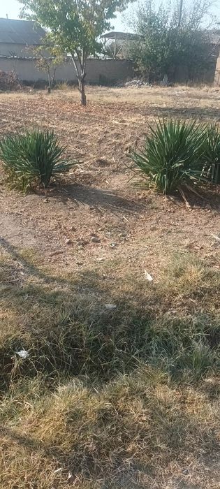 Bosh yer sotiladi 8 sotik