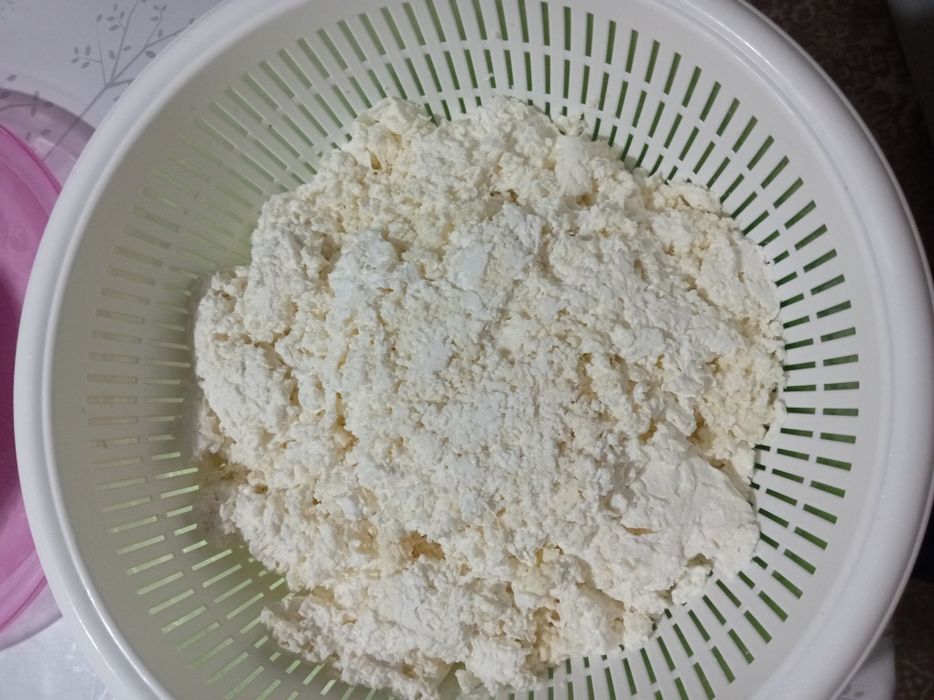 Продам творог домашний