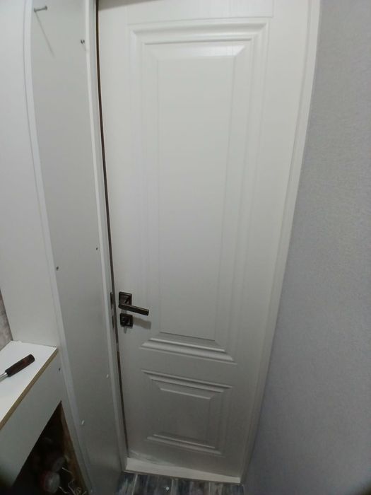 Две двери плотность 60 см