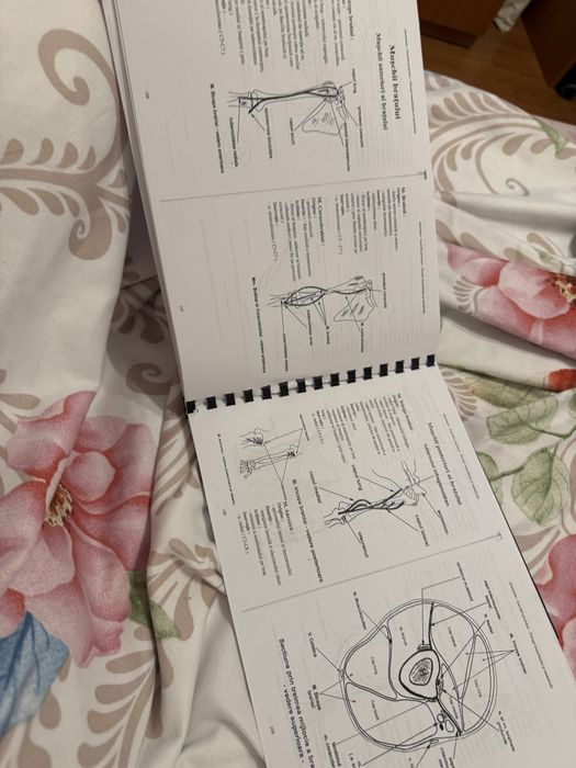 Carte anatomie Lupu peretii trunchiului si membre
