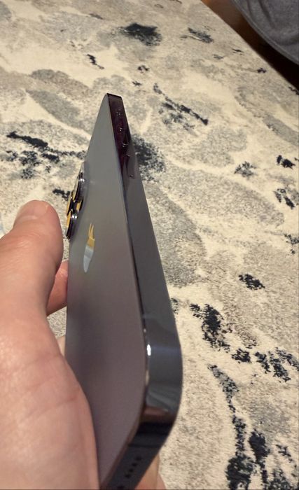 iPhone 13 Pro Max/256 GB/Sierra Blue/Neverlocked