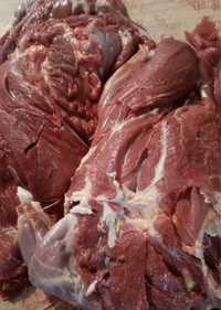Продам мясо говядины оптом