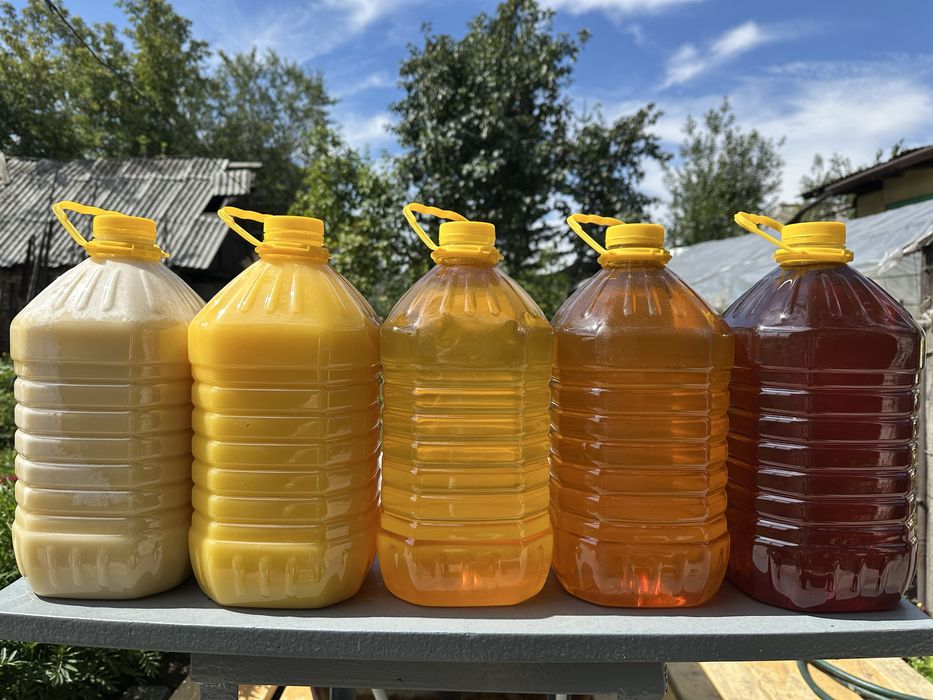 Мёд, ВКО, Зыряновский район (Алтай)