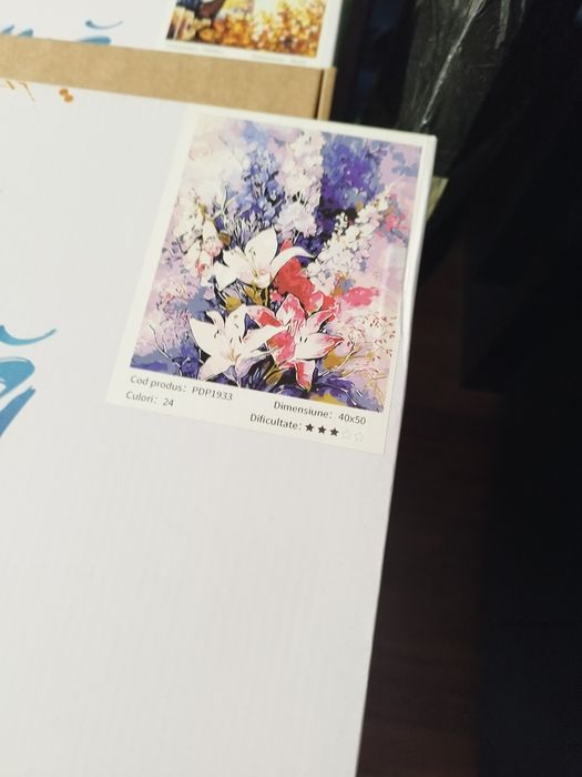 Seturi tablou pt pictat cadoul ideal