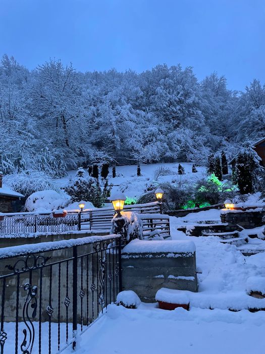 Къща за гости Робин Худ