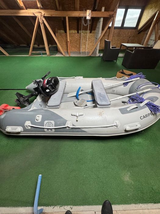 Barca Dinghy290 cu motor Mercuri 6 cp