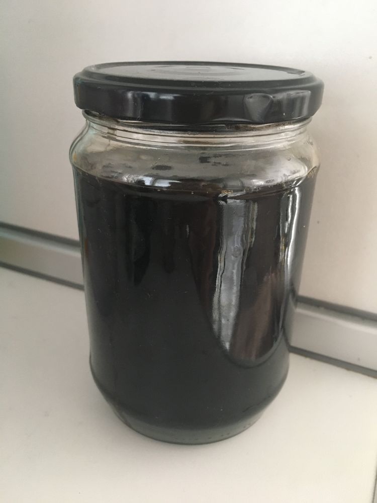 Кефирена гъба
