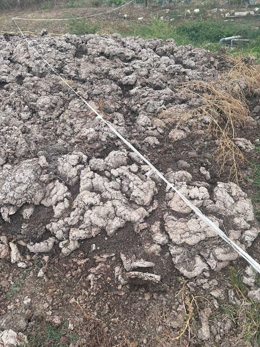 Balegar de vaci fermentat