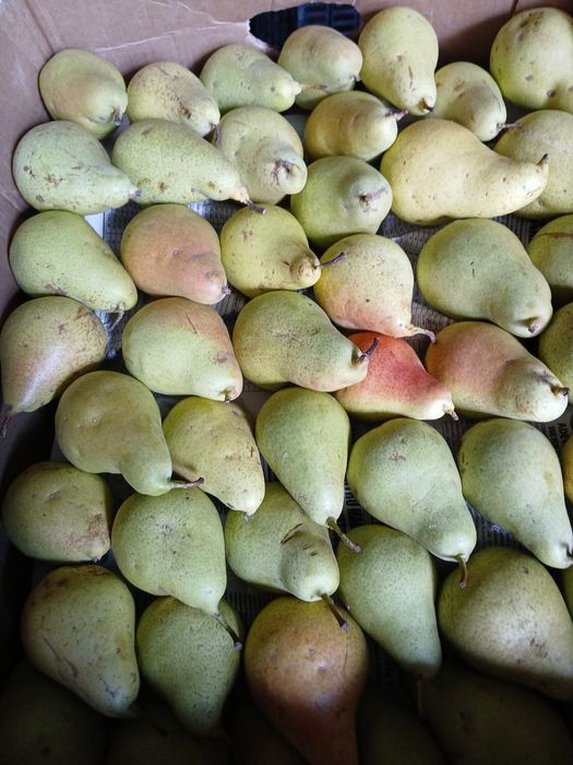 De vanzare Pere cure