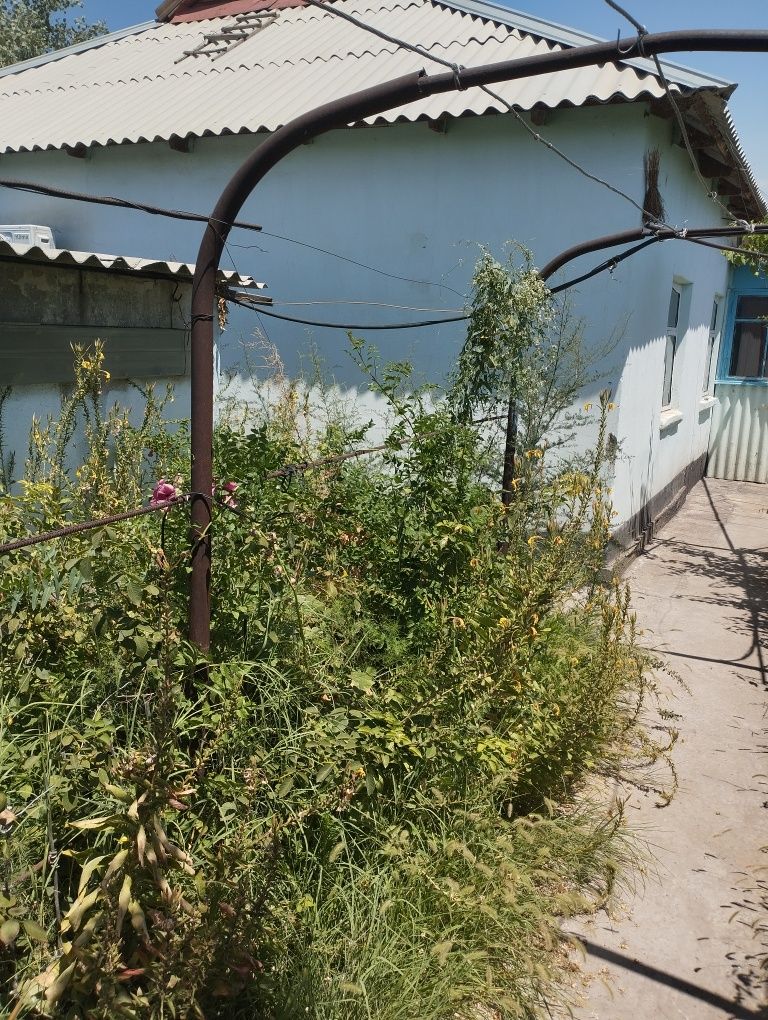 Продается дом в шардаре