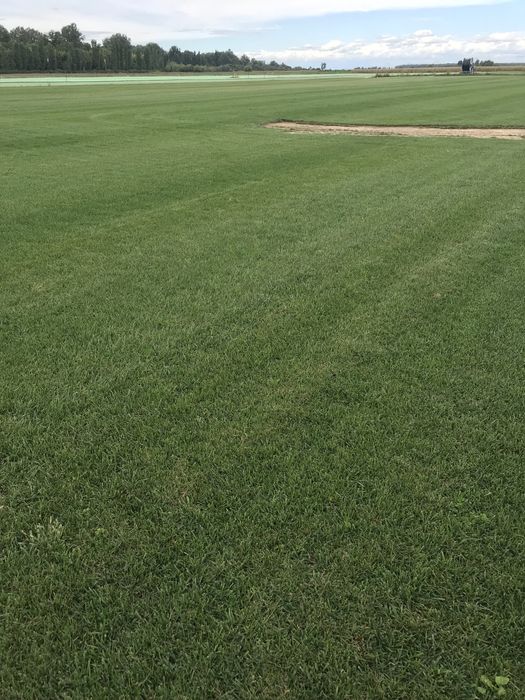 Gazon    Natural  sisteme   De   Irigatii