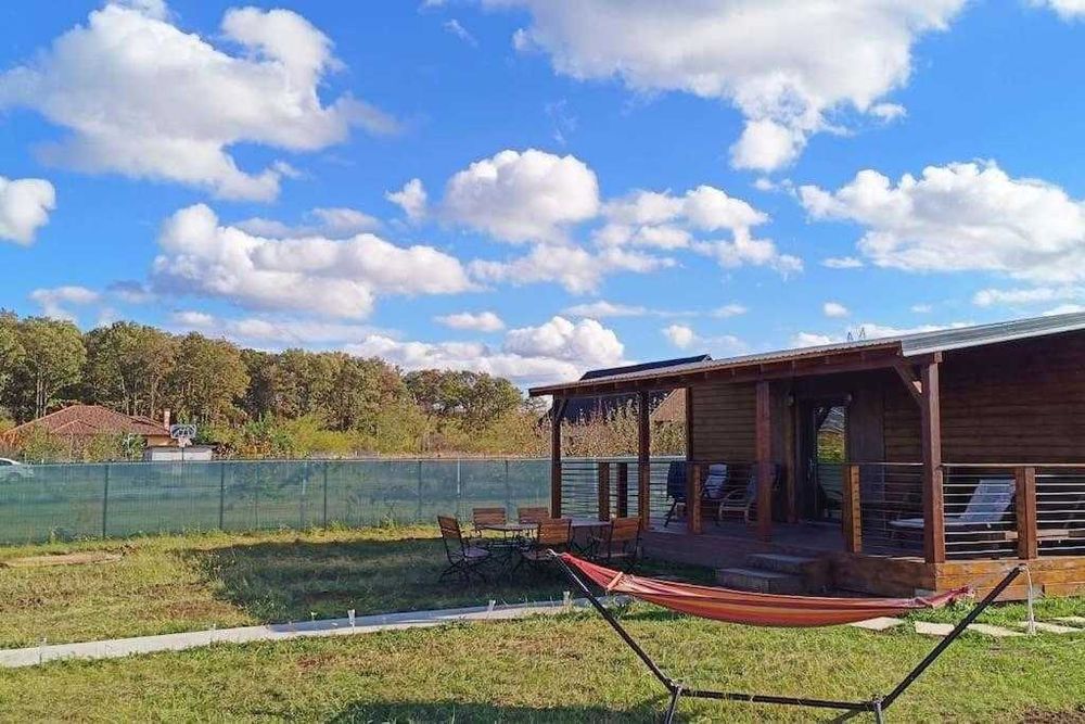 Cazare cu caini regim hotelier Oradea