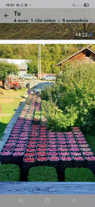 Mere alimentare si de industrie