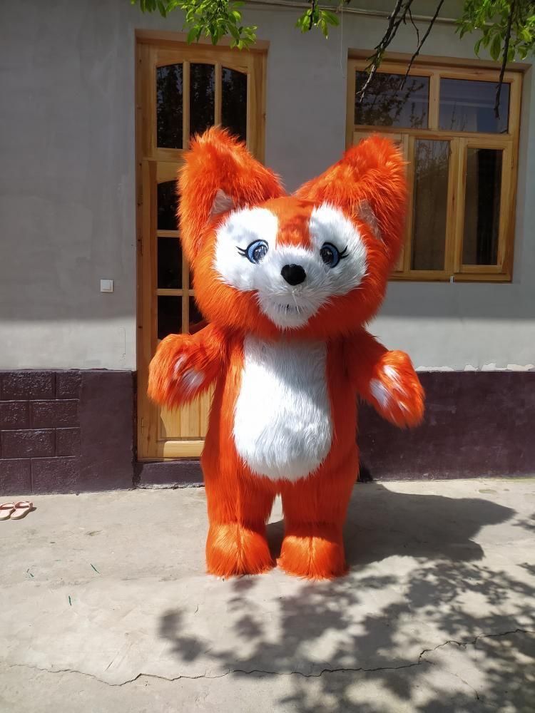 Ayiqlar Sotiladi