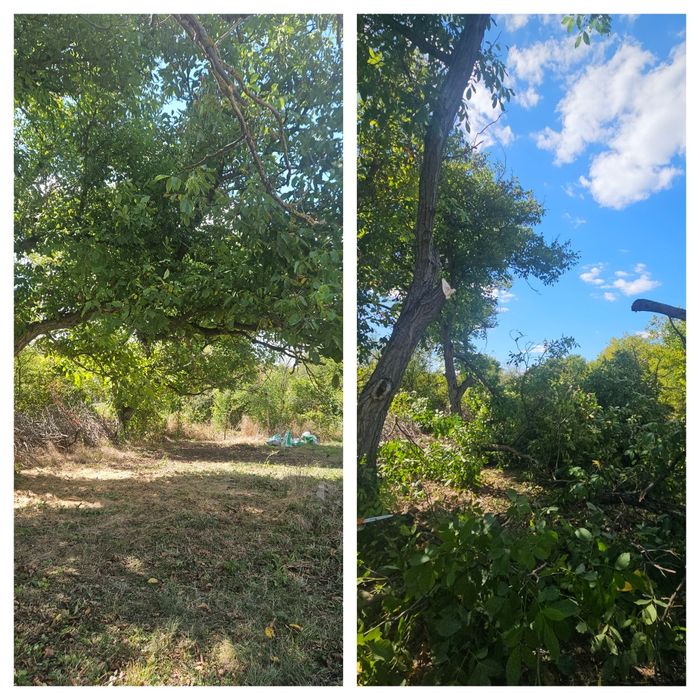 Кастрене на клони,дървета,храсти и т.н