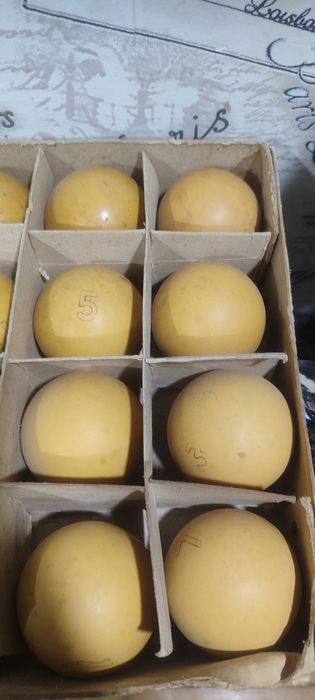 Бильярдные шары СССР продам