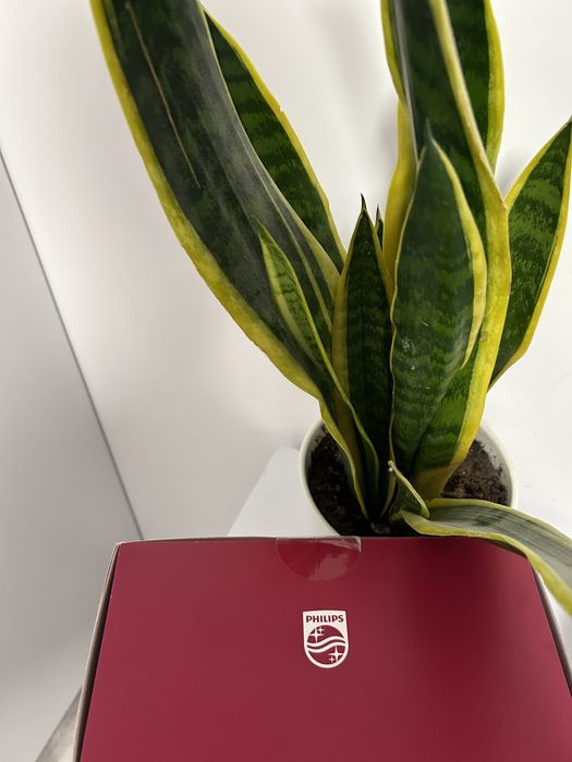 Epilator IPL Philips