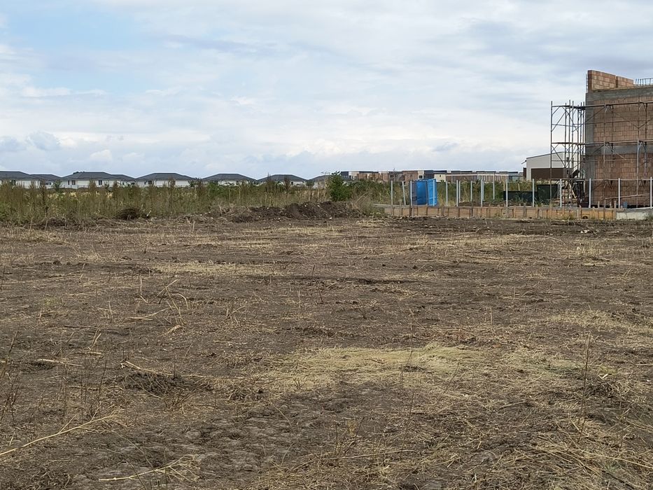 Inchiriere teren 1657 mp Tunari Ilfov