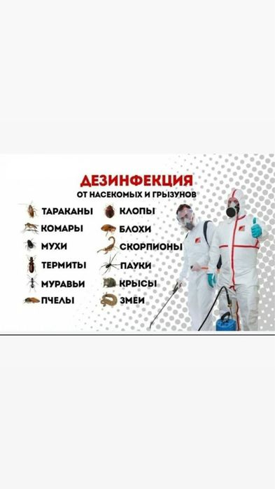 Дезинфекция Дезинсекция Обработка от насекомых Клопы, Термиты,