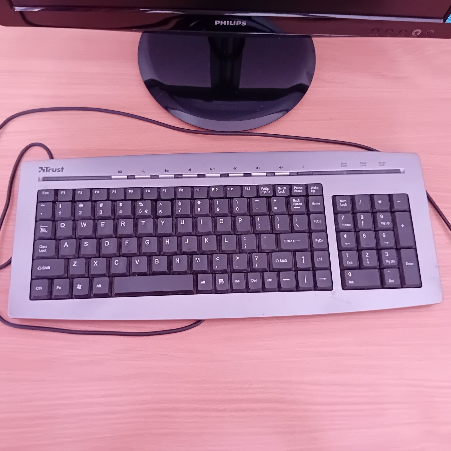 Monitor PHILIPS și tastatura