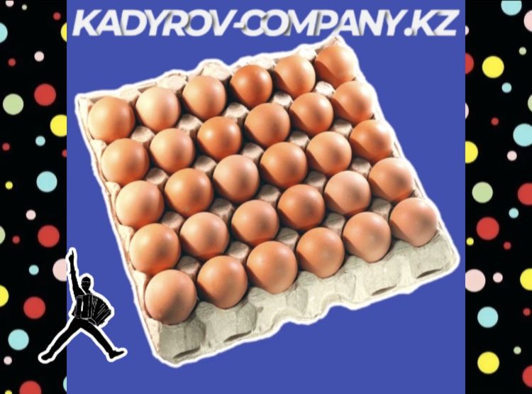 Инкубационные яйца бройлера ОПТОМ свежие ИЯ17