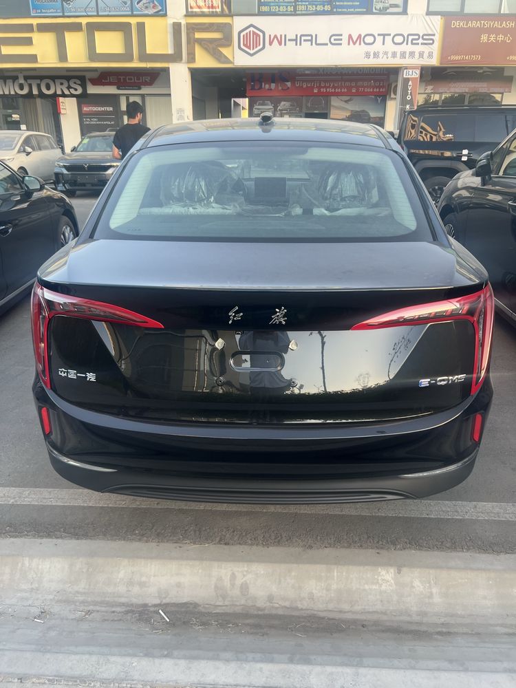 Hongqi eqm 5 450 km 2024 notariusli