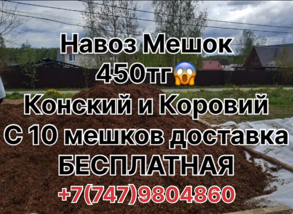 Навоз Доставка Бесплатна