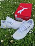 Adidasi Puma BMW Originali !mms Drift Cat 8 Marimi 40,40.5,41,42