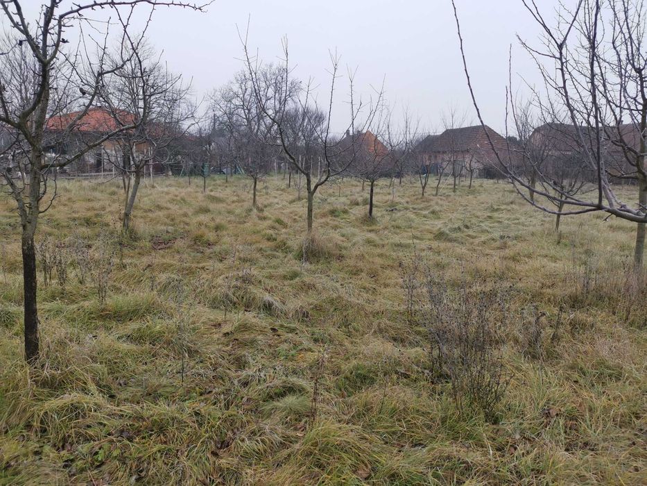 Vând teren cu casa în CF Ianova