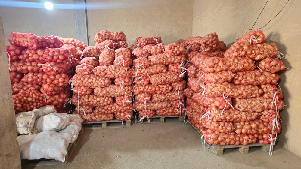 Kartoshka Piyoz Optom