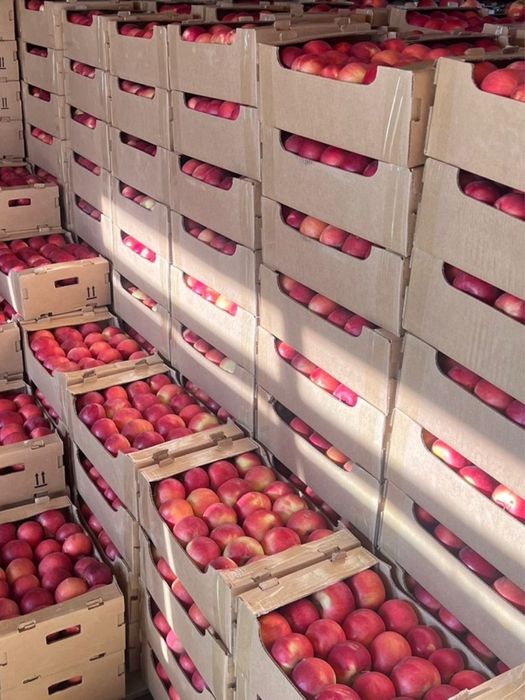 КОСТАНАЙ,Алматинские яблоки Айдаред,цена 1 ящик 4000 тг,в ящике 9-10кг
