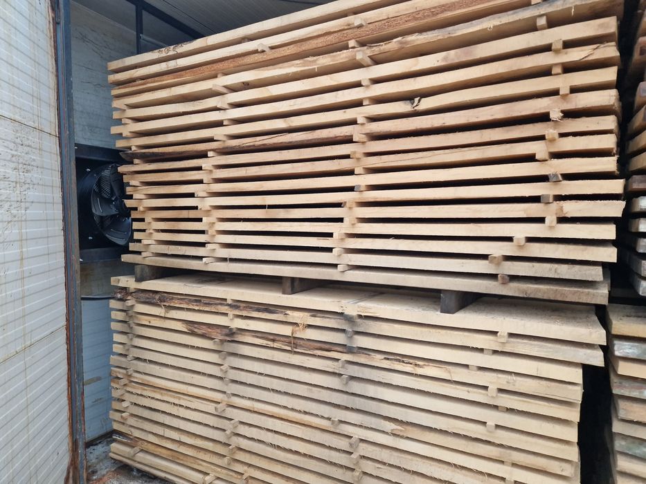 Cherstea stejar si fag