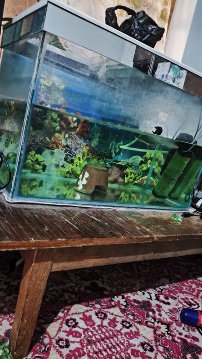 Аквариум 200 литр + самп