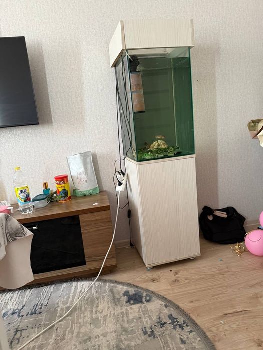 Akvarium kampilekt sotiladi