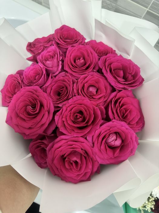 розы розовые 17 шт