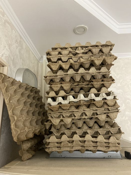 Отдам даром яичные лотки