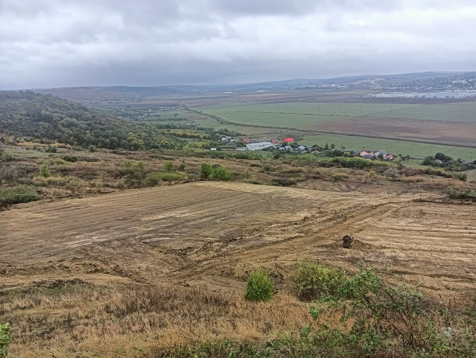 Vând teren extravilan Miroslava centru