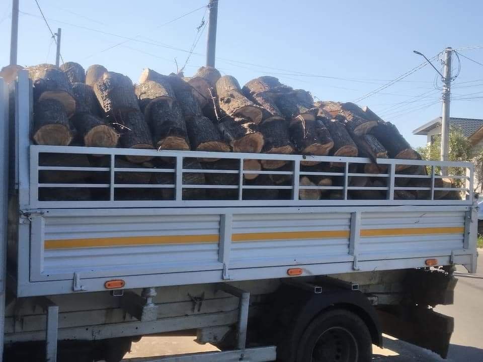 Vand Lemne de Foc de orice esenta  
Stejar 700 
Salcam 700
Plop 450
Sa