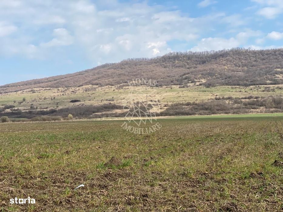 Teren Intravilan-3750mp- zona in plina dezvoltare-Podirei