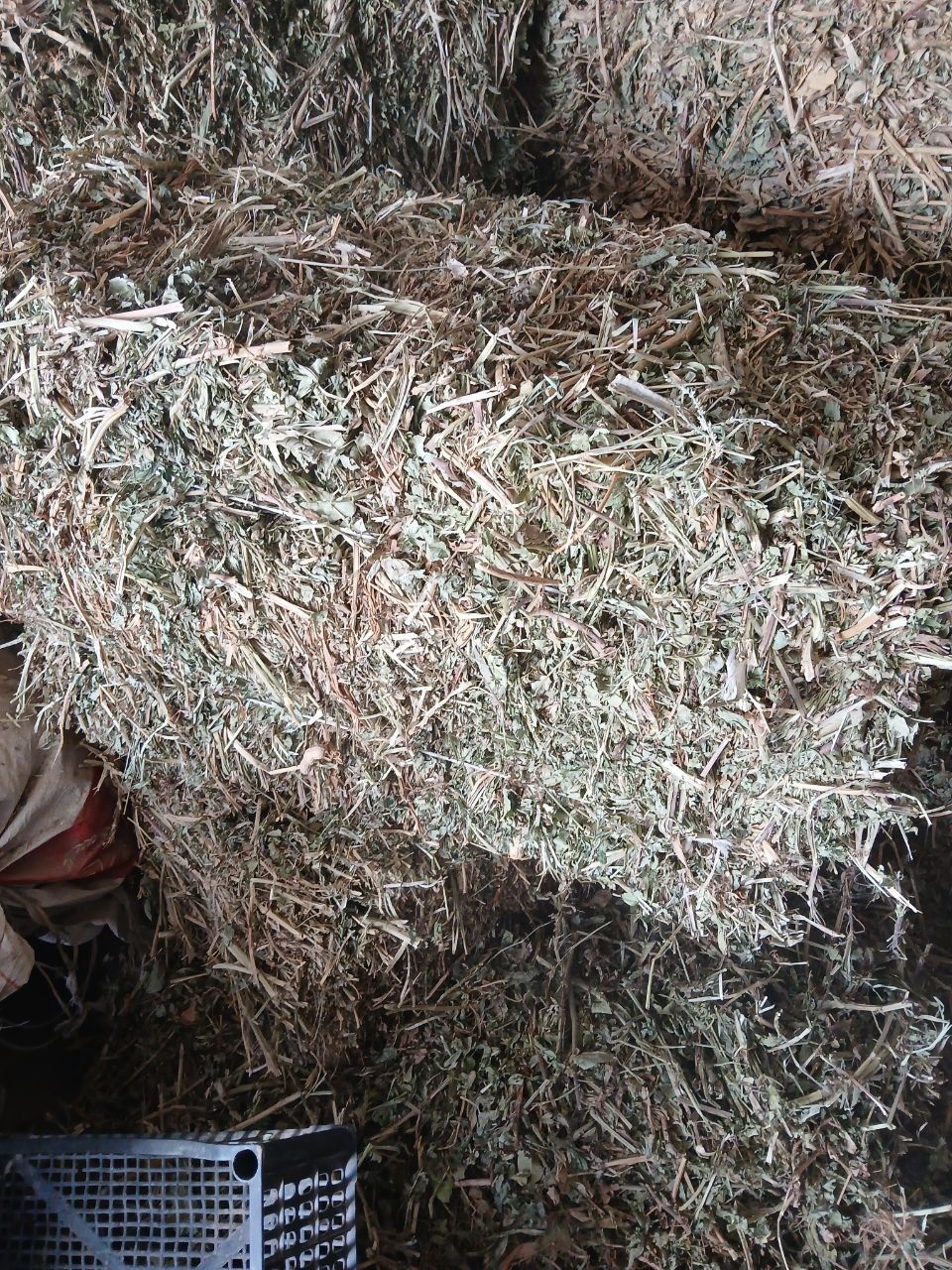 Yeryongʻoq press