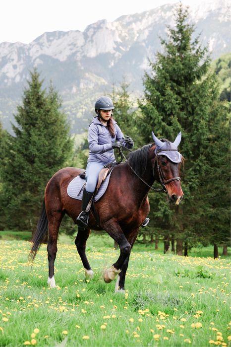 valtrap mov de vazare