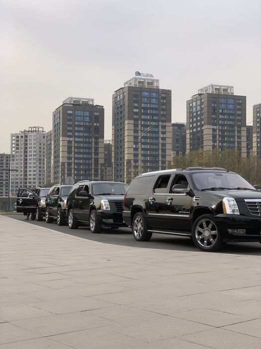 Аренда , прокат авто премиум класса