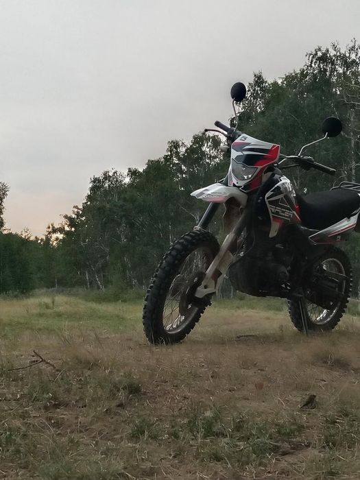 Racer Panther RC250GY-C2