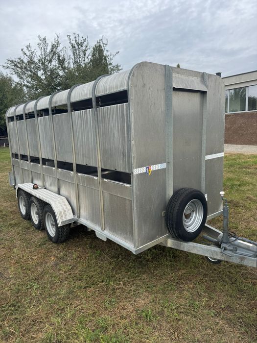 Remorca transport animale M-TEC