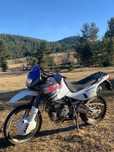Honda dominator 650