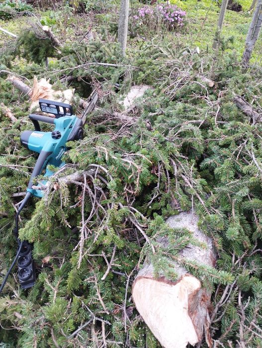 Подарявам борова дървесина за горене от 15 метров бор. Село Симеоново.